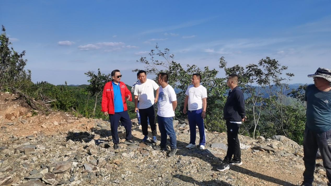 锦利公司官方网站新闻｜严盯项目 紧抓落实——广西百色隆林各族自治县县长赴集团项目现场检查指导